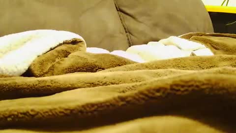 BigFTMdick online show from 12-30-24, 07:15