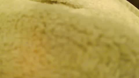 BigFTMdick online show from 01-04-25, 06:41