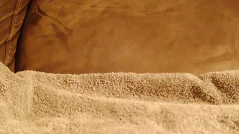 BigFTMdick online show from 01-08-25, 06:41