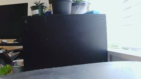 BigFTMdick online show from 01-11-25, 11:13