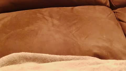 BigFTMdick online show from 01-13-25, 05:12