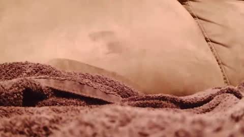 BigFTMdick online show from 01-19-25, 05:37