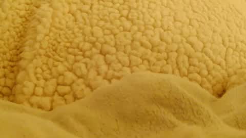 BigFTMdick online show from 02-04-25, 05:53