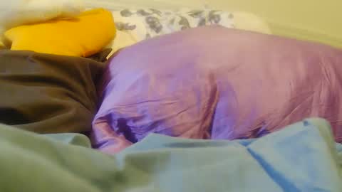 BigFTMdick online show from 11-23-25, 07:46