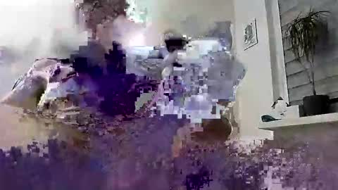 Snapshot of hugo_hug chatting on 03-04-26, 06:58 David online show from 03-04-26, 06:58