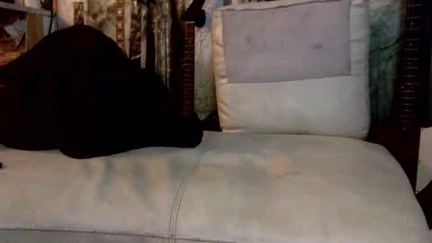 huippari online show from 12-08-24, 10:30