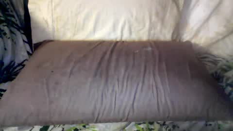 hung420boner online show from 06-12-26, 08:02