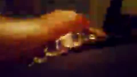 Snapshot of hungnhard1991 chatting on 07-23-26, 05:11 Aussieboy69 online show from 07-23-26, 05:11