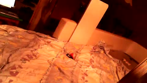 hungryanalslut online show from 02-18-25, 10:58