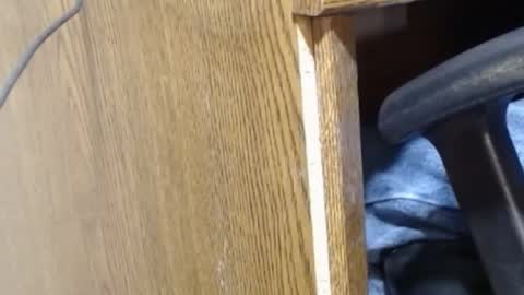 hungsofine online show from 12-23-24, 09:40