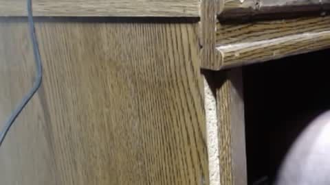 hungsofine online show from 12-26-24, 07:27