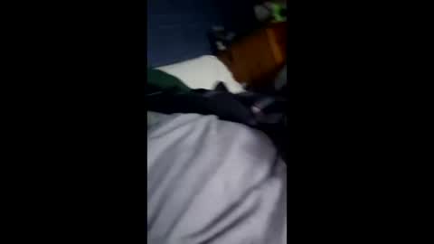 hunk1987_ online show from 04-12-26, 09:53