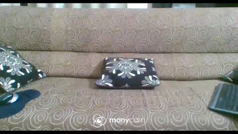 Snapshot of iam_jp084 chatting on 02-21-25, 06:26 JP online show from 02-21-25, 06:26