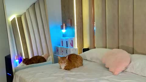 Nyxy online show from 11-11-25, 09:09