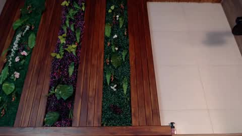 Snapshot of ian_davis chatting on 03-04-25, 07:54 Ian Davis online show from 03-04-25, 07:54