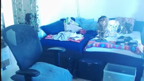 PMS online show from 02-24-25, 05:42