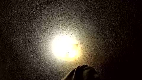 Snapshot of ibussbooties_007 chatting on 03-14-26, 01:55 ibussbooties_007 online show from 03-14-26, 01:55