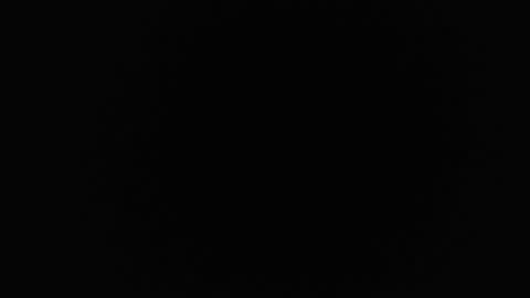 ice_y_abigail online show from 09-27-25, 11:26