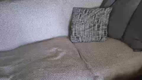 Snapshot of ich_hh chatting on 02-19-26, 11:17 SnowTiger online show from 02-19-26, 11:17