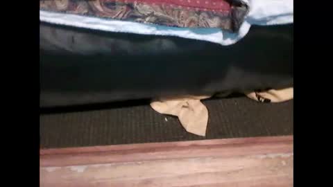 idkwhyidothis348732 online show from 01-05-25, 06:02