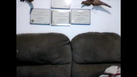 idkwhyidothis348732 online show from 02-11-25, 12:05