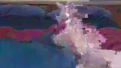 Snapshot of ihavebigballs00 chatting on 12-17-24, 03:06 ihavebigballs00 online show from 12-17-24, 03:06