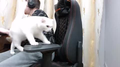 Snapshot of iliaskrisloveee chatting on 11-07-25, 01:44 lord online show from 11-07-25, 01:44