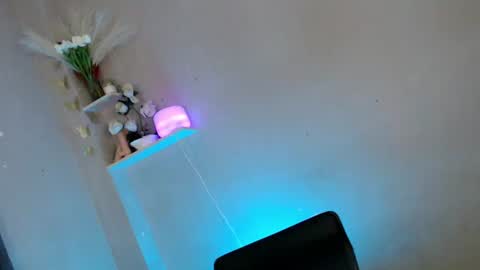 Snapshot of im_too_sexy chatting on 10-06-25, 04:10 Megan online show from 10-06-25, 04:10