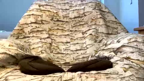 Snapshot of imaginaryvoyage chatting on 12-16-25, 04:23 thanks for visiting online show from 12-16-25, 04:23