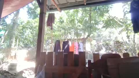 Snapshot of immaculate02 chatting on 02-01-25, 04:46 Immaculate02 online show from 02-01-25, 04:46