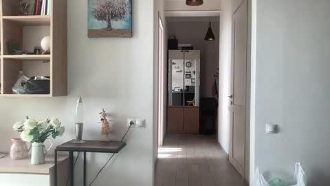 imnotall online show from 11-24-25, 08:47