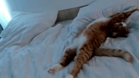 Snapshot of imogensy chatting on 02-20-25, 09:00 my name Imo Fansly online show from 02-20-25, 09:00