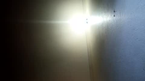 Perky baby online show from 07-19-26, 08:01