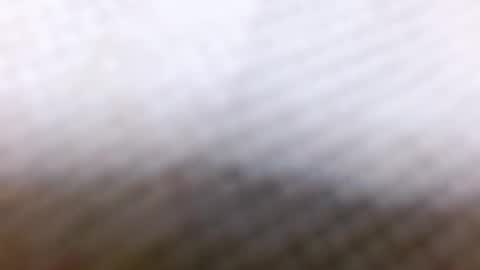 Snapshot of indianblue3 chatting on 12-28-24, 08:58 tracy online show from 12-28-24, 08:58