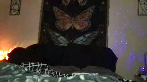 Snapshot of indigobay chatting on 01-10-25, 12:17 Indigo Bay online show from 01-10-25, 12:17