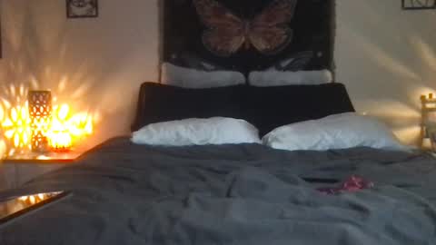 Snapshot of indigobay chatting on 02-16-25, 07:26 Indigo Bay online show from 02-16-25, 07:26