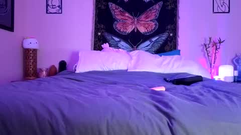 Snapshot of indigobay chatting on 02-14-26, 02:30 Indigo Bay online show from 02-14-26, 02:30