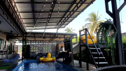 Vicki FANSLY ---   online show from 01-06-25, 08:14