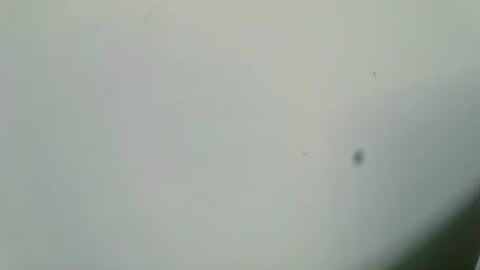 Snapshot of ingloriousuncut chatting on 02-16-25, 06:54 Inglorious Hairy Uncut online show from 02-16-25, 06:54