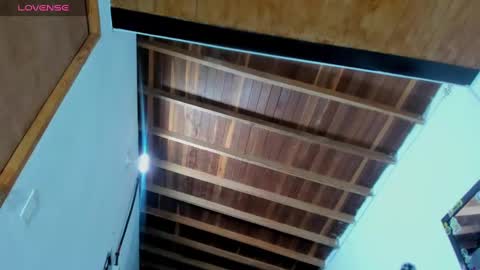 Snapshot of ink_demon chatting on 12-29-24, 03:33 demon online show from 12-29-24, 03:33