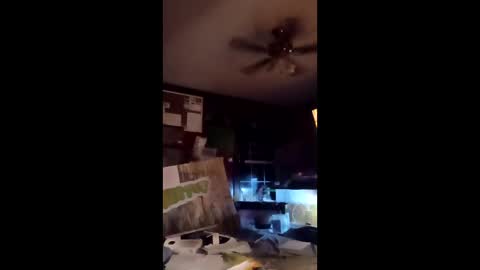 inmecum online show from 03-20-26, 12:59