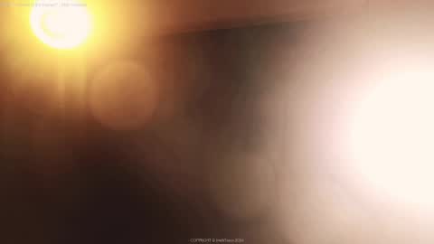 Snapshot of intellitease chatting on 05-21-26, 05:31 DJ online show from 05-21-26, 05:31