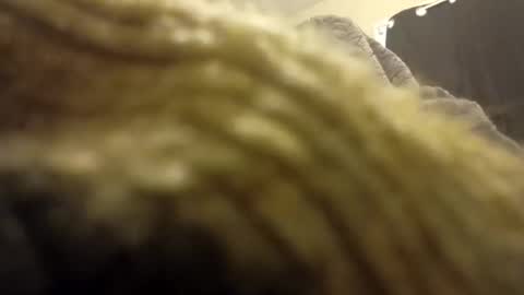 internationalwang online show from 03-10-25, 02:48