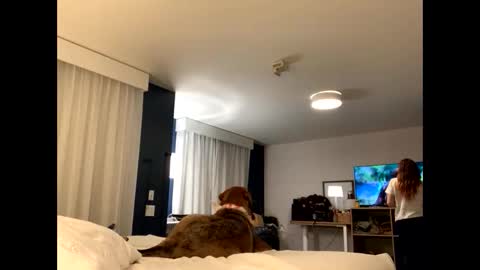 IntoTheWoodsWeGo online show from 11-27-25, 01:51