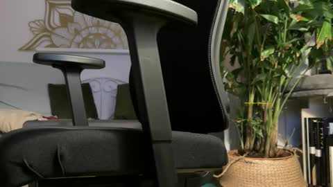 Snapshot of intressiert chatting on 02-19-26, 05:31 intressiert online show from 02-19-26, 05:31