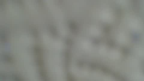 Irishdude2483 online show from 01-15-25, 06:33