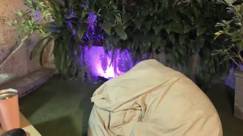 isabelastefano online show from 10-04-25, 12:08