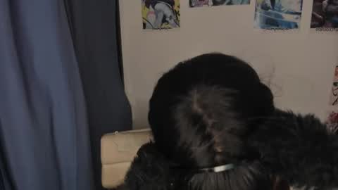 Snapshot of isabell_xstar chatting on 03-03-25, 02:47 isa 3 online show from 03-03-25, 02:47