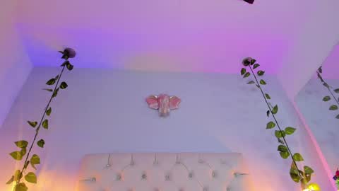 Snapshot of isabella_flowerss chatting on 01-08-25, 03:19 online show from 01-08-25, 03:19