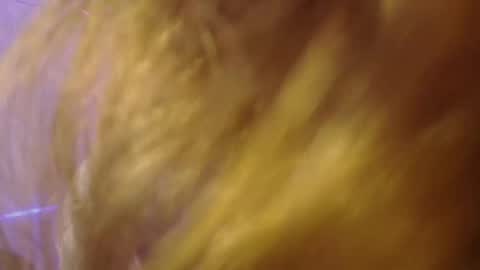 Snapshot of isabella_rross chatting on 11-06-25, 01:56 Isabella Rros online show from 11-06-25, 01:56